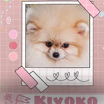 Princess Kiyoko